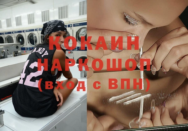 гашик Арсеньев