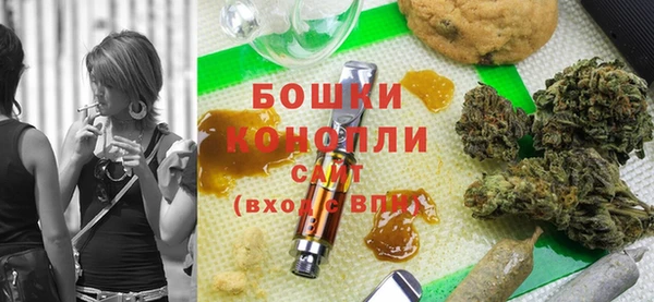гашик Арсеньев