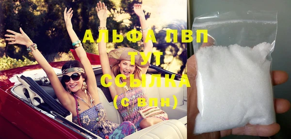 гашик Арсеньев