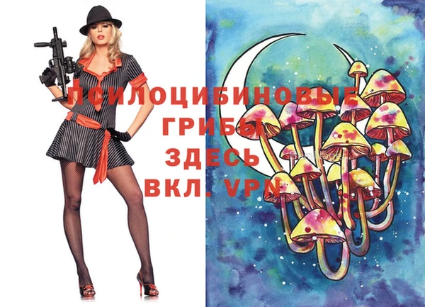 таблы Аркадак