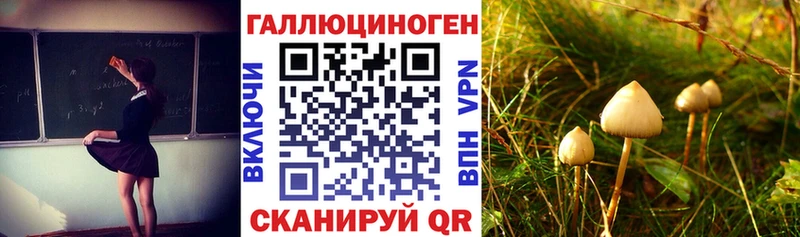 Галлюциногенные грибы прущие грибы как найти Миньяр